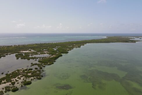 DJI_0104-scaled