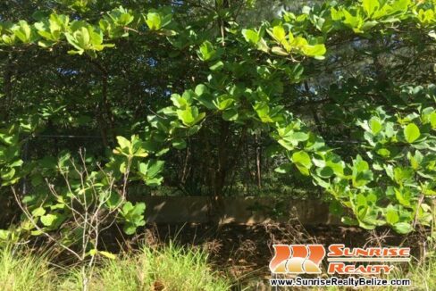 IMG_9011-copy-1
