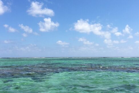 IMG_9528-rotated (1)