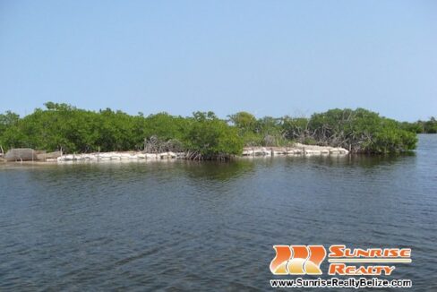 Island-1