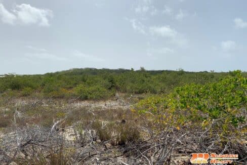 West-Coast-acreage-close-3