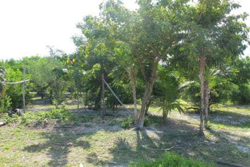 lot-2