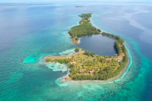 2-island-next-to-dicaprio-800x0-c-center