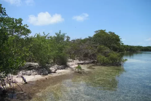 eden_isle_lots_105_and_106_001_caye_caulker_belize