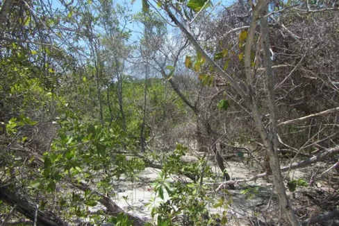 eden_isle_lots_105_and_106_011_caye_caulker_belize