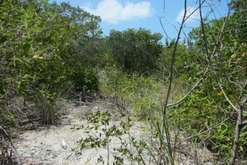 eden_isle_lots_105_and_106_013_caye_caulker_belize