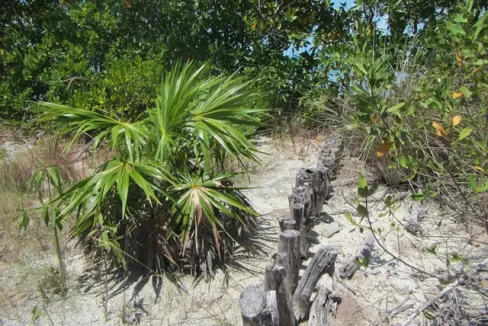 eden_isle_lots_105_and_106_015_caye_caulker_belize