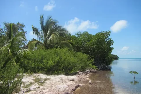 eden_isle_lots_105_and_106_025_caye_caulker_belize