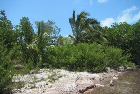 eden_isle_lots_105_and_106_030_caye_caulker_belize