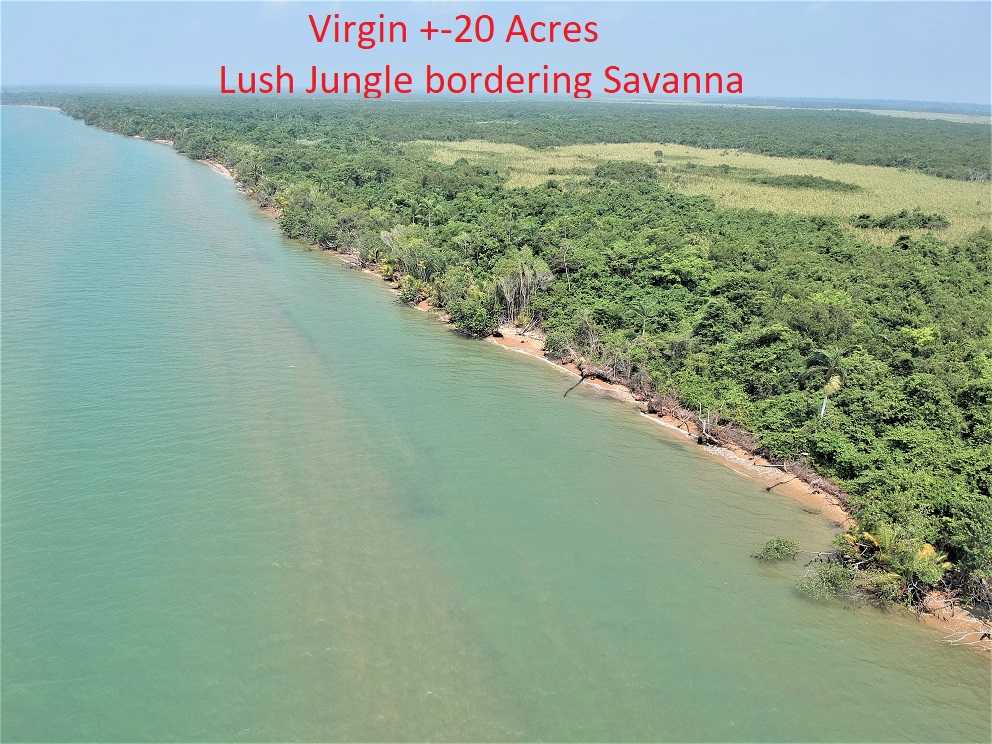 REDUCED! 20 ACRES BEACHFRONT PROPERTY SOUTH OF MONKEY RIVER!
