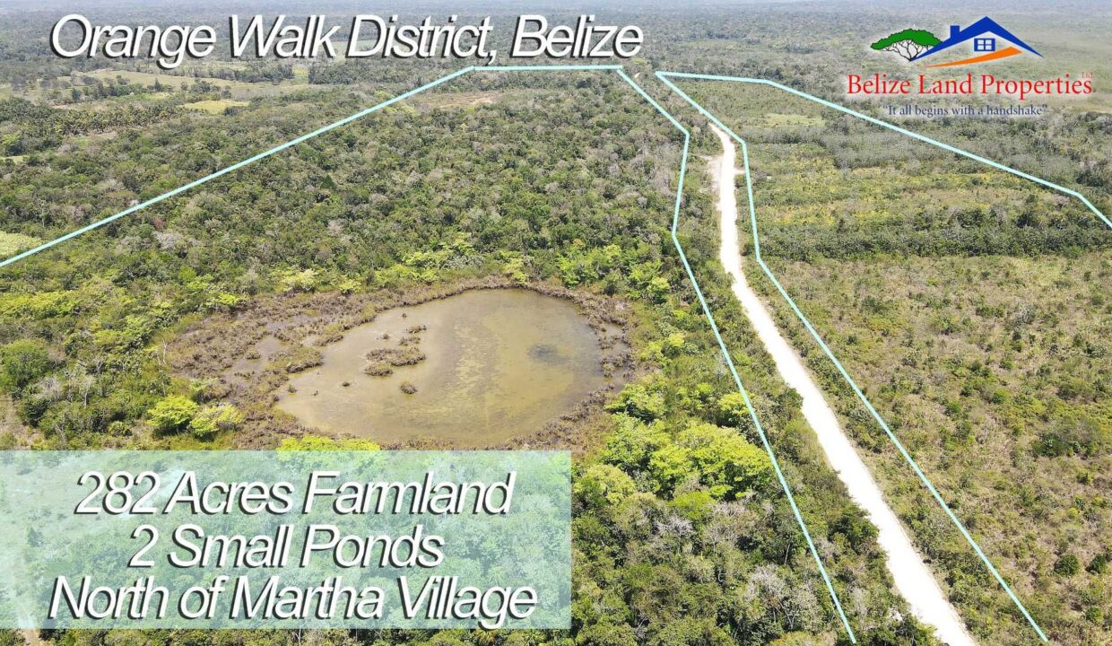 Buy-farmland-in-Belize