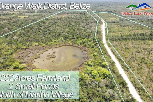 Buy-farmland-in-Belize