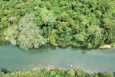 Buy-land-in-Belize-retire-in-belize-property-for-sale-along-Belize-river