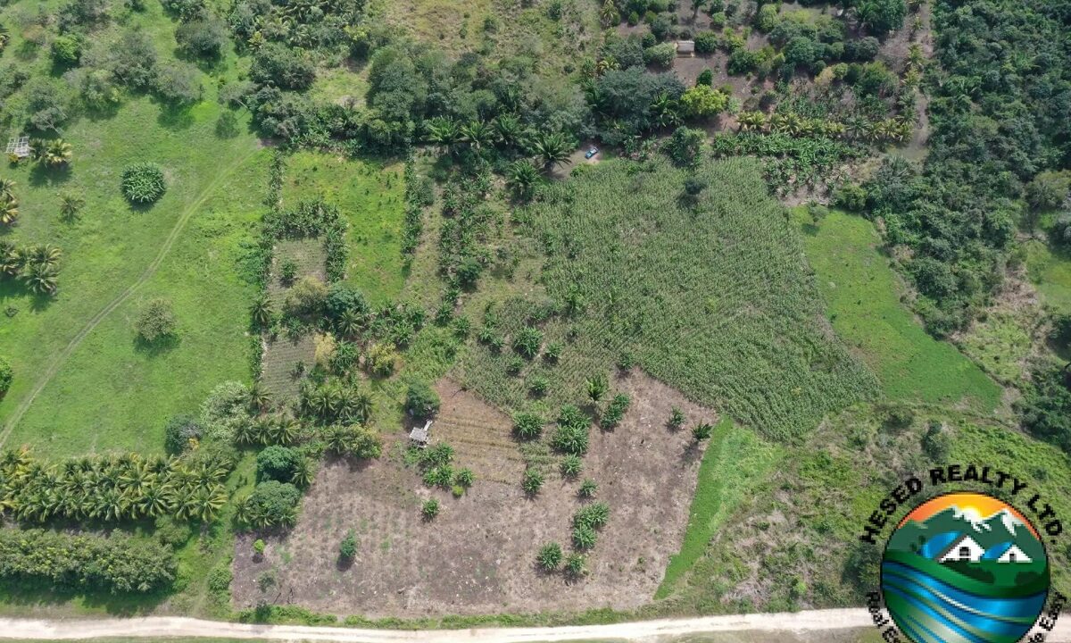 DJI_0403