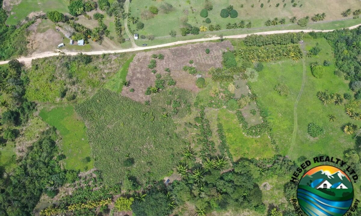 DJI_0406