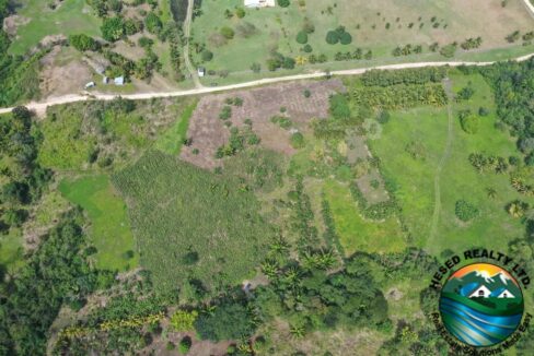 DJI_0406