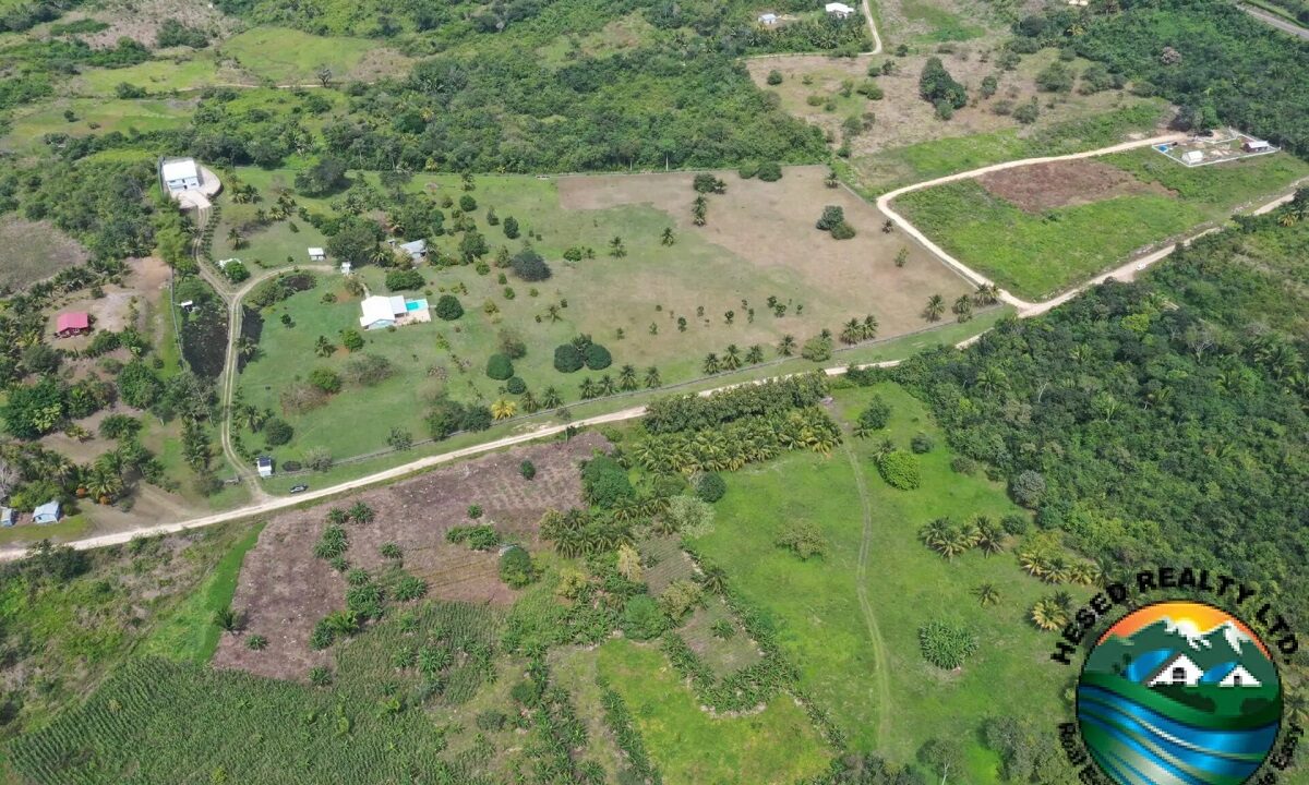 DJI_0408