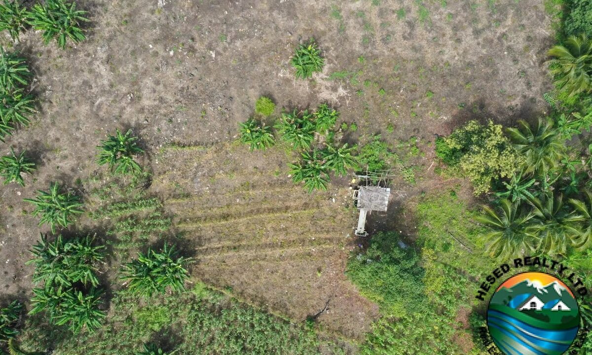 DJI_0411