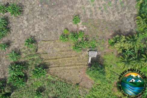 DJI_0411