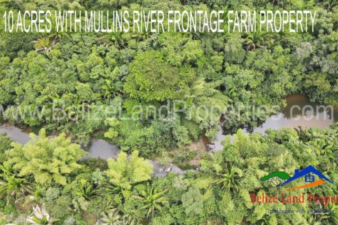 Farmland-For-Sale-in-Belize-Mullins-River-scaled