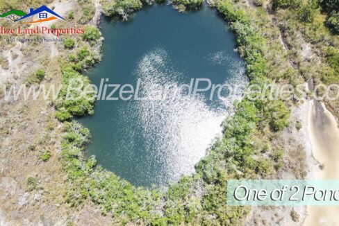 Farmland-With-Pond-for-Sale-in-Orange-Walk-Belize