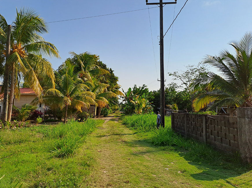 Homes-for-sale-Belize