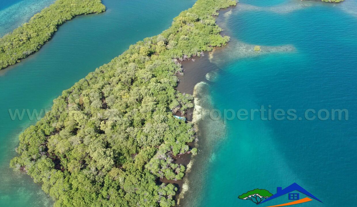 Island-For-Sale-in-Belize-off-Placencia-Peninsula-Belize-scaled