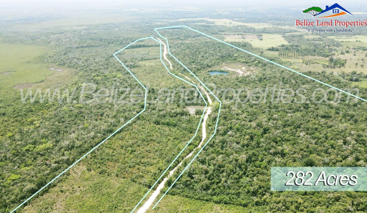 Land-Belize-for-sale-for-farm