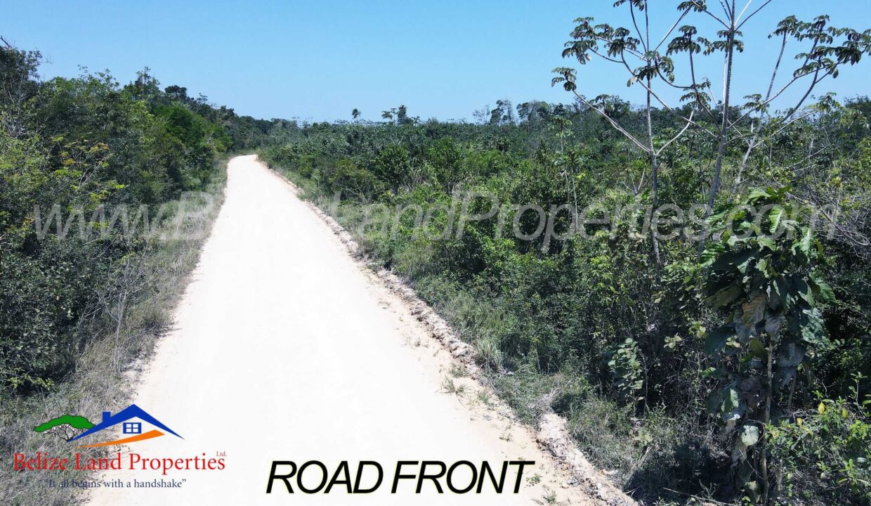 Land-for-sale-in-Belize