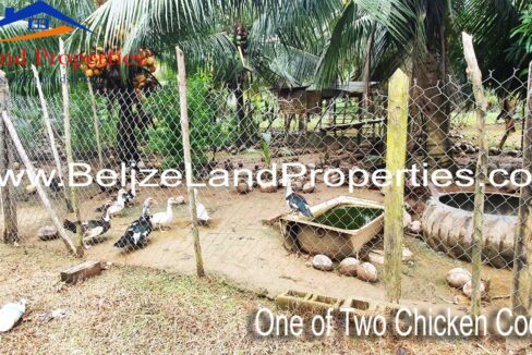 Land-for-sale-in-Mullins-River-Belize-scaled
