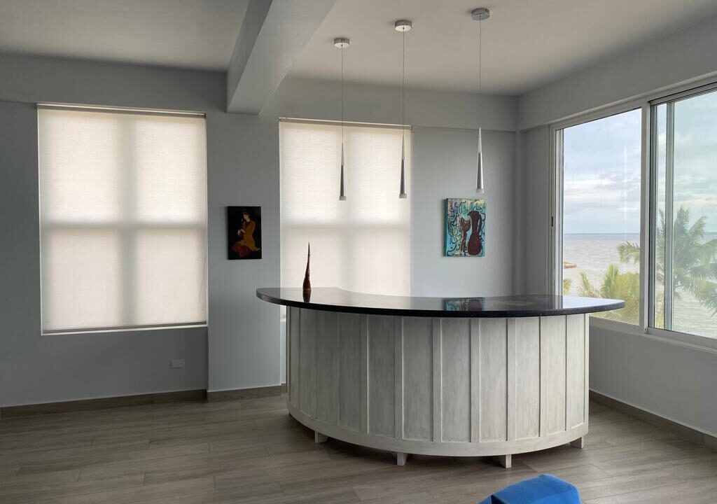 Living-room-bar-area.-All-cabinets-bar-doors-are-custom-made