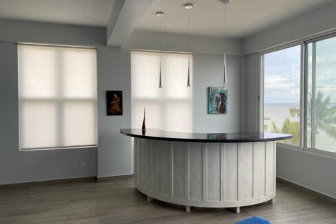Living-room-bar-area.-All-cabinets-bar-doors-are-custom-made