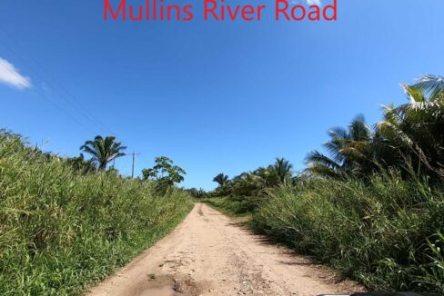 Mullins-River-Road