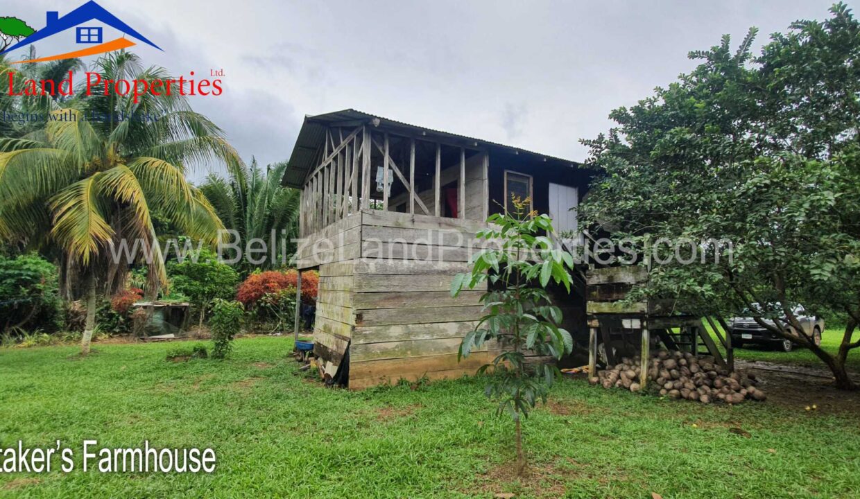 Mullins-River-farm-property-for-sale-Belize-scaled