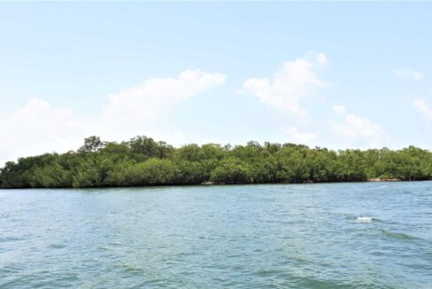 Property-at-the-Mouth-of-Creek-to-Anderson-Lagoon