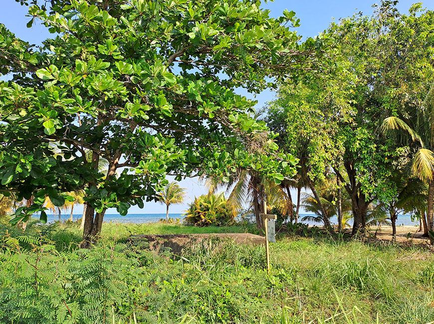 Property-for-sale-in-Belize