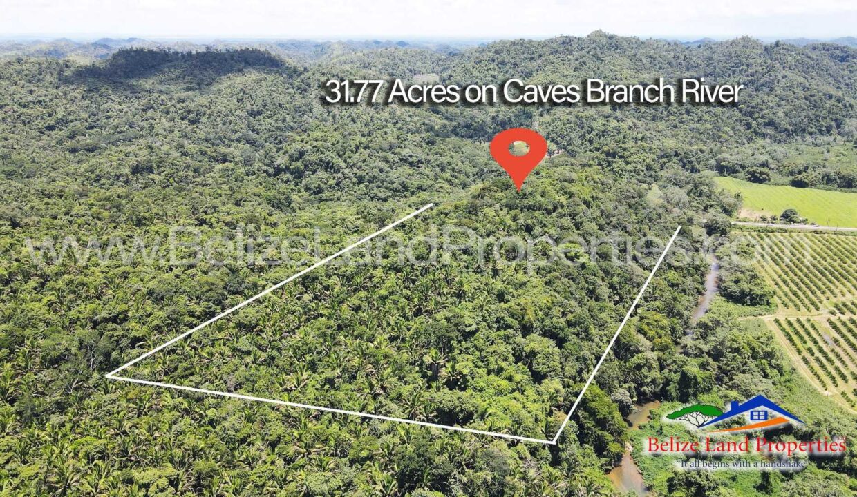 Residential-or-Resort-Property-For-Sale-on-Caves-Branch-River-Hummingbird-Highway