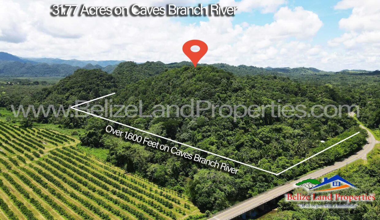 Resort-Jungle-Property-For-Sale