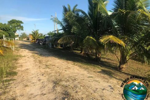 image_11-2