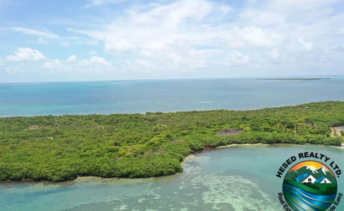 image_2-3