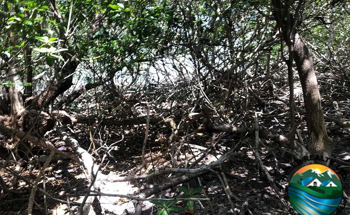 image_3-3