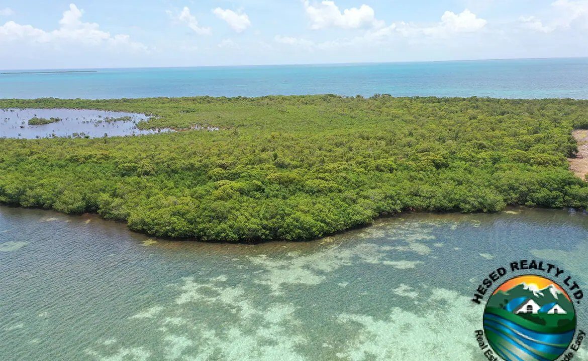 image_4-3