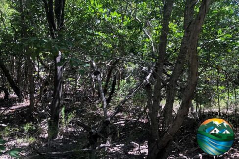 image_5-2