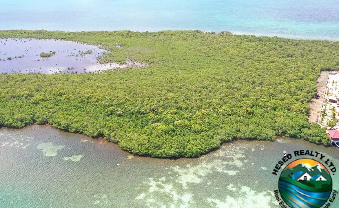 image_7-2