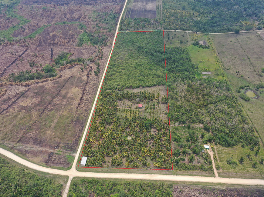 outline-0f-24-acres-coconut-farm-web-2
