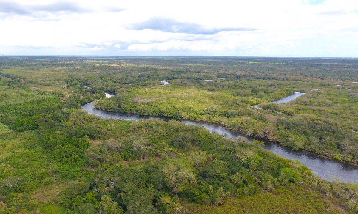 OWN A PRIVATE ISLAND ON THE NEW RIVER IN NORTHERN BELIZE