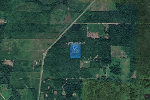 Google-Earth-image-of-15-Acre-Citrus-Farm-800x0-c-center
