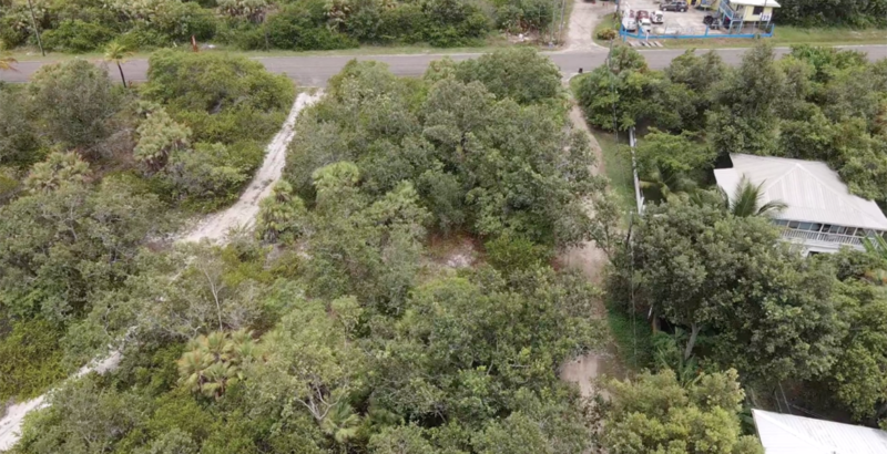 ready-to-build-lot-in-placencia-800x0-c-center