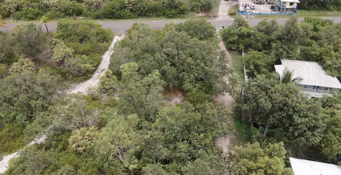 ready-to-build-lot-in-placencia