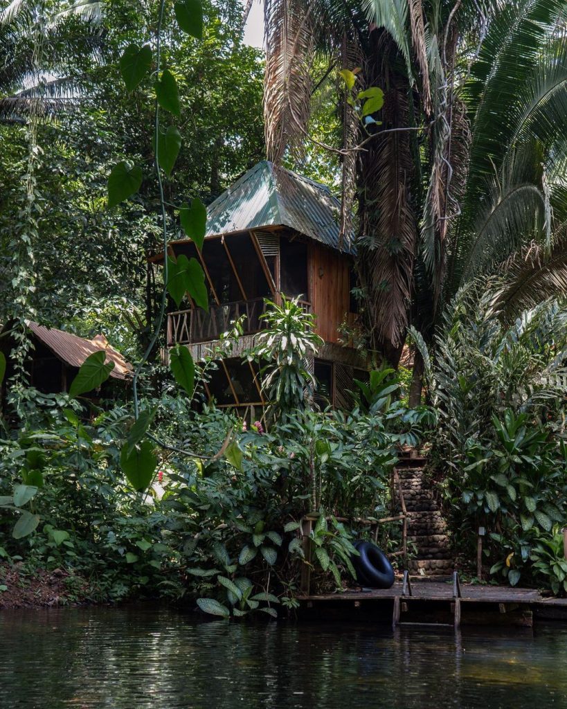 Tree House Belize